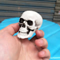 Miniatyrbillede 2 af 5: Sæsonbestemt & Julepynt 3 stk. Halloween Skeletter Plast Realistisk Falsk Simulation Menneskekranie Hoved-knogle Model Halloween Rekvisit Realistisk Mini Ske