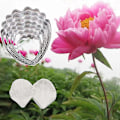 Miniatyrbild 4 av 5: 9 st/set Kakform Blomblad Form Bakform
