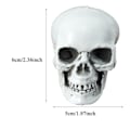 Miniatyrbillede 3 af 5: Sæsonbestemt & Julepynt 3 stk. Halloween Skeletter Plast Realistisk Falsk Simulation Menneskekranie Hoved-knogle Model Halloween Rekvisit Realistisk Mini Ske