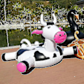 Miniatyrbillede 2 af 5: Oppustelig Ko-Pool Flydelegeme til Børn og Voksne Flydemadras Vandflydende Båd Ride-on Svømme Ring Legetøj til Sommeren
