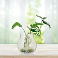 Miniatyrbild 4 av 4: 10 st Växtplanterare Suckulent Växtplanterare DIY Landskapsbehållare Skrivbordsväxthållare