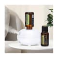 Mini Doftspridare Aromaterapimaskin Automatisk Induktion Bärbar Söt för Diffuser USB
