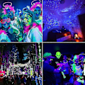 Miniatyrbilde 3 av 5: 2 stk 100W UV LED Flomlys Svartlys IP65 Vanntett, Ultrafiolett LED Lampe, Effektbelysning For Akvarium, Fest, Neonmaling, Fluorescerende Plakater