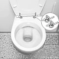 Pikkukuva 4 / 4: WC-istuimen saranat, korvaavat WC-istuimen saranat, ruostumattomasta teräksestä valmistetut WC-istuimen saranat