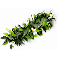 Miniatyrbillede 3 af 5: Hawaiiansk Hula Blad Græs Nederdel Halskæder Armbånd Hårbånd Luau Festartikler (5 stk) Y