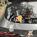 Miniatyrbillede 4 af 5: G99f Bilsticker Es Dekal Side Ow Modificeret Søde Stickers Cykel Dekaler Autostickers