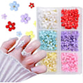Miniatyrbild 1 av 5: 3D Blommor Nagelberlocker och Metall Kaviar Pärlor, 6 Fack Blandade 3D Akryl Nagelkonst Tillbehör Nageldesign för DIY Nageldekorationer Nagelkonst Material ##