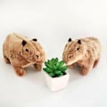 Pikkukuva 4 / 5: Sarjakuva Capybara Pehmolelut Pehmonukke Pehmotyyny Kodinsisustus lapsille Lahjat