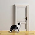 Miniatyrbillede 3 af 3: Hundeklokke til Dør Pottetræning Justerbar Hundepotteklokke, Klokker til Hunde til at Ringe for at Gå Udenfor, Justerbare Hundedørklokker og Træningsklokker med Trykknapper