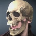 Pikkukuva 2 / 5: 1kpl Uusi kokopään kallon naamio, suu CAN siirtää Halloween kauhu aikuisten pääkallon naamio Haunted House Props liikkuva leuan lateksinaamio Light color