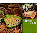 Miniatyrbillede 3 af 5: Pieces Reptilfoder Vandskål Skildpadde Vandautomat Reptilskål Til Små Kæledyr Reptil, Skildpadde, Firben, Edderkop, Skorpion (grøn)