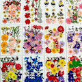 Miniatyrbillede 1 af 4: 90 stk. Ægte Tørrede Pressede Blomster, Tørre Pressede Blomster Til Resin Naturlige Pressede Blomsterblade Farverige Tørrede Pressede Blomster Til DIY Håndværk Lys J