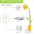 Miniatyrbillede 5 af 5: Børne Skrivebordslampe - Kreativ Genopladelig Skrivebordslampe LED Øjenbeskyttelse Touch Sensor Bordlampe Dæmpbar Sengelampe med Penneholder (Gul)