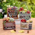 Miniatyrbild 2 av 2: Krukor Planter Harts Retro Nyhet Kruka Skrivbord Balkong Växt Blomkruka För Suckulent Växt(c, Stil) bd