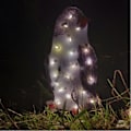 Miniatyrbillede 3 af 4: Sæsonbestemt & Julepynt LED Lys Lysende Pingvin Juledekoration Have Illumierende Dekoration Akryl 1 stk. Q
