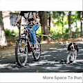Miniatyrbillede 3 af 4: Rullebar cykelhundesnor, håndfri cykelsnor til kæledyrshunde - På lager