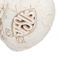 Miniatyrbilde 3 av 4: Resin Statue Lysende Hul Design Søt Jesus Engel Skulptur for Hjemmekontor Dekor Ornament Gave (SCS-RC085-A)