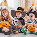 Pikkukuva 4 / 5: Säädettävät lepakonsiivet lemmikille Halloween-asut kurpitsakelloilla