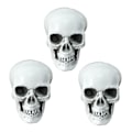 Miniatyrbillede 1 af 5: Sæsonbestemt & Julepynt 3 stk. Halloween Skeletter Plast Realistisk Falsk Simulation Menneskekranie Hoved-knogle Model Halloween Rekvisit Realistisk Mini Ske