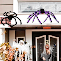 Pikkukuva 3 / 4: Halloween-ulkoilupaikat koristavat hämähäkinverkkoja Pehmoleluja