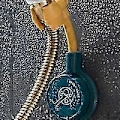 Miniatyrbillede 2 af 5: Universal Justerbart Brusehoved, Matcha Farve