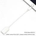 Miniatyrbild 3 av 4: Lightning Adapter Otg Hane Till Usb Kabel Hona För Iphone, Kamera