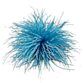 Miniatyrbillede 1 af 5: Fjerbrosche Fjer Corsages Klæde Dekorationer Struds Fjer Materiale Lake Blue