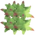 50 st tygblad, kronblad, tyggröna blad, DIY-foder för tillverkning av konstgjorda blommor