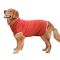 Miniatyrbillede 1 af 4: Vintervarm Anti-Hårtab Turtleneck Hundetrøje