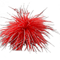 Miniatyrbillede 1 af 5: Fjerbrosche Fjer Corsages Klæde Dekorationer Struds Fjer Materiale Red