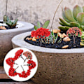 Pikkukuva 4 / 4: 1 pakkaus, 6 kpl, simulaatiopuukasvi koriste miniatyyri mini koristepurkit mehikasvi sisustus DIY maisema koriste (sekoitettu tyyli)