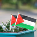 Miniatyrbild 3 av 4: Palestina Flagga Liten Med Stång, 14x21cm Palestina Handviftande Flagga, Dubbelsidig Handhållen Palestina Flaggor, Palestina Flagga 10pcs