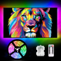 Pikkukuva 4 / 5: 3m:n paristokäyttöiset RGB LED-nauhavalot kaukosäätimellä, vedenpitävät joustavat liimavalot sisä- ja ulkokäyttöön color