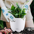 Miniatyrbild 5 av 5: Självbevattnande blomkrukor för inomhus- och utomhusbruk Vita 13 cm (3 st) White S