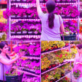 Miniatyrbillede 2 af 5: LED plantevækstlys strimler vandtæt klippbar strimmel USB dyrkningslampe til indendørs planter sukkulenter hydroponics drivhus 1m 1m