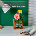 Miniatyrbild 5 av 5: Bit Glödlampa Avocado Vas Glas Ekollon Vas för Blommor Terrariumburkplantering med trähylla Hållare för gröna vattenväxter Passa single bottle