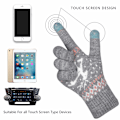 Miniatyrbild 2 av 5: 2 par dam vinter touch screen handskar varma stickade termiska handskar förtjockning plysch foder handledsskydd pekskärm för smartphone