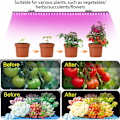 Miniatyrbild 3 av 5: LED växtbelysningsremsor Vattentät klippbar remsa USB odlingslampa för inomhusväxter Suckulenter Hydroponics Växthus 2m 2m