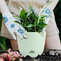 Miniatyrbild 5 av 5: Självbevattnande blomkrukor för inomhus- och utomhusbruk Gröna 17 cm (3 st) Green M
