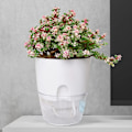 Miniatyrbillede 2 af 5: Indendørs automatisk vanding blomsterpotte, blomsterpotter med vandingssystem hvid (4stk) White