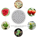 Miniatyrbillede 4 af 6: Pære til Indendørs Planter, 36W E27 LED Plantelys Pære, Fuld Spektrum 80 LEDs Plantelys Plante Blomst Hydroponisk Pære, AC220V