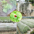 Miniatyrbillede 2 af 5: 10m x 2,5m Have Net Anti-insekt Net til Køkkenhaver, Fint Insektnet til Beskyttelse af Planter, Blomster, Grøntsager og Frugter.