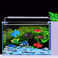 Miniatyrbillede 3 af 5: Akvariefisk Skål Plast Svømning Guld Fisk Betta Fisk Sjov Kunstig Silikone Lille Fisk Livagtig Falsk Fisk(Brun Betta Fisk)