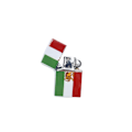 Miniatyrbillede 1 af 3: BRÆNDSTOFFLYGTER - IRAN FLAG