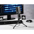 Miniatyrbillede 3 af 3: HAMA Allround Mikrofon USB Black
