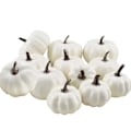 Miniatyrbild 3 av 5: Halloween Simulering Pumpor Dekoration Set 7PCS Simulering Pumpa Modell Konstgjord Pumpa Dekoration Falsk Pumpa Spricka White
