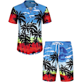 Pikkukuva 1 / 6: Miesten Havaiji-paita ja shortsit -setti Regular Fit lyhythihainen rento funky ranta flamingo paita setti L L Blue Beach