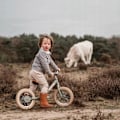 Miniatyrbild 8 av 10: Rosa SPRINGBALANS Löpcykel, 2-hjul, för Barn