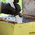 Miniatyrbilde 4 av 5: Polert rustfritt stål bikube skrapeverktøy birøkt utstyr verktøy for Ha