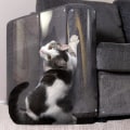 Miniatyrbild 1 av 2: Möbelskydd från kattklös - Soffa skydd för katter - Anti kattklös möbelskydd - Soffa skydd för katter - Soffa hörn klösning träningstejp avskräckande